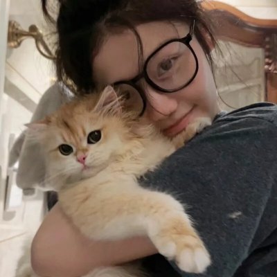 三只流浪猫