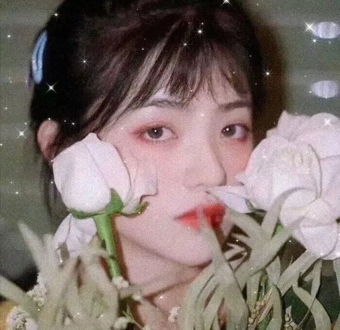 我老婆是老大2